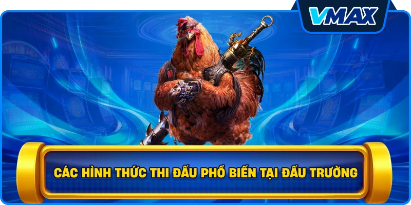 Các hình thức thi đấu phổ biến tại đấu trường